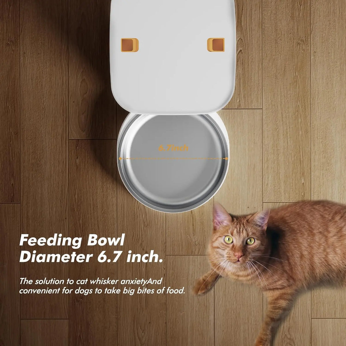 Nityers Automatic Cat Feeder With Voice Recorder