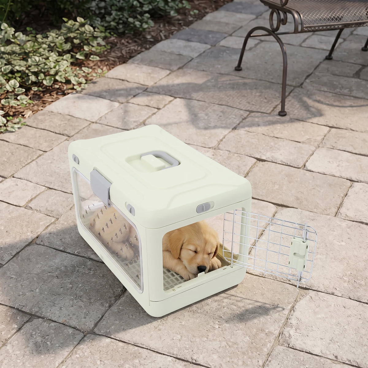 Foldable Hard Shell Pet Carrier for Cats and Small Dogs
