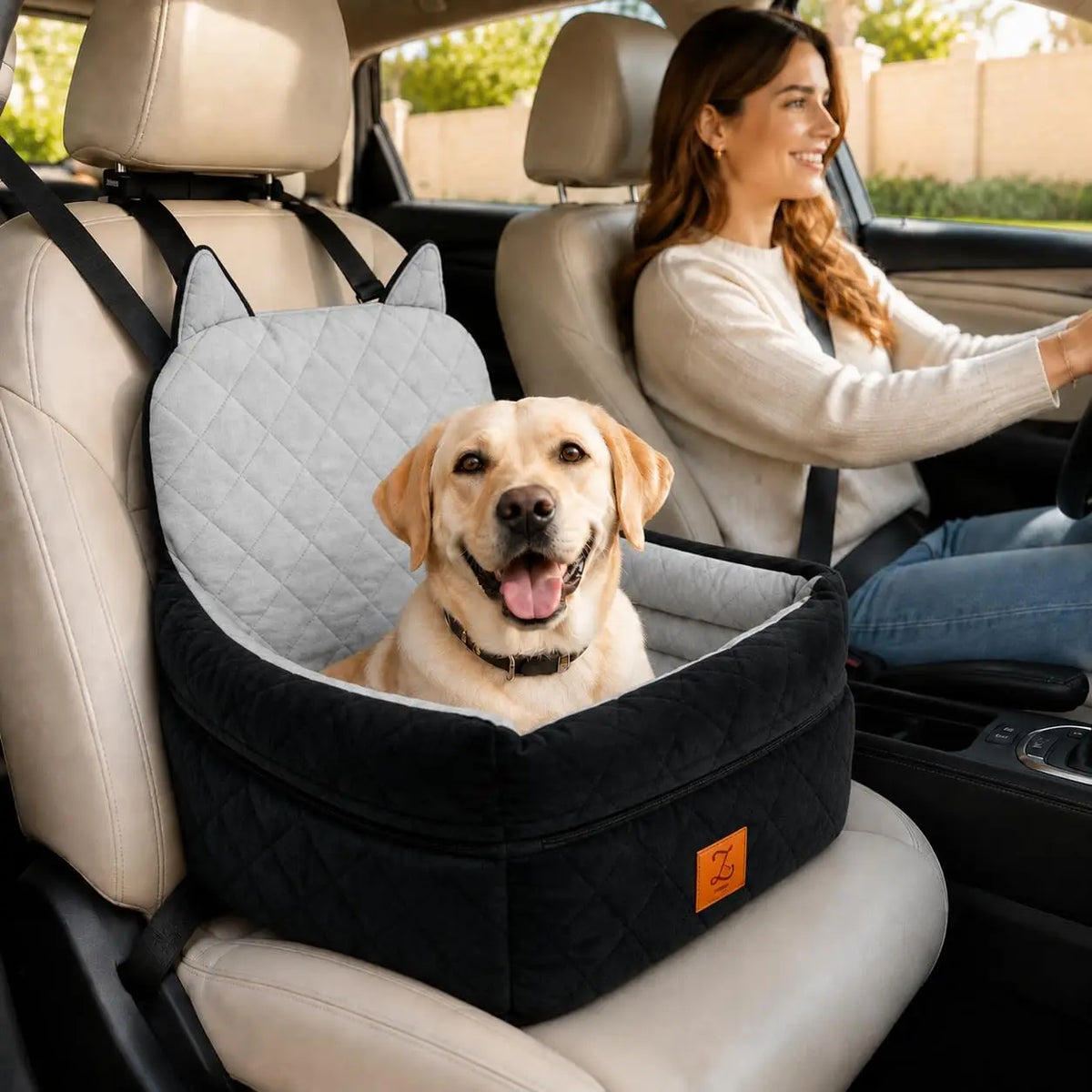 Dog Car Seat Booster With Safety Belt For Travel