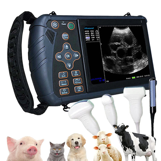 DAWEI Portable Veterinary Ultrasound Scanner for Farm Animals