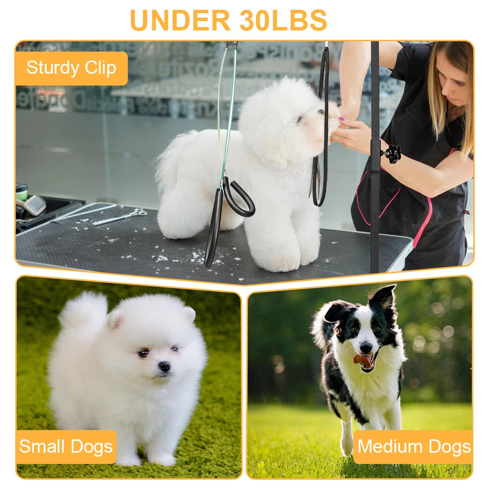ATUOTIN Stainless Steel Dog Grooming Stand Arm