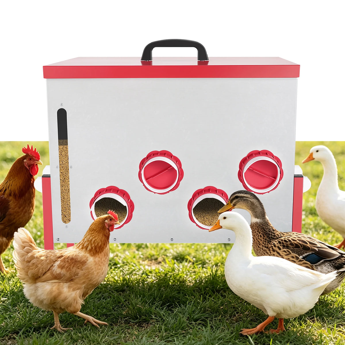 Automatic Metal Poultry Feeder With Adjustable Stand