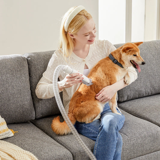 JHK Pet Grooming Vacuum Kit With Clippers