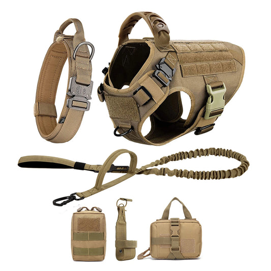 Nylon Dog Harness And Leash Set For Dogs