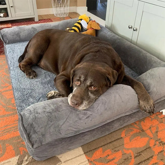 BINGOPAW Orthopedic Dog Bed With Washable Cover