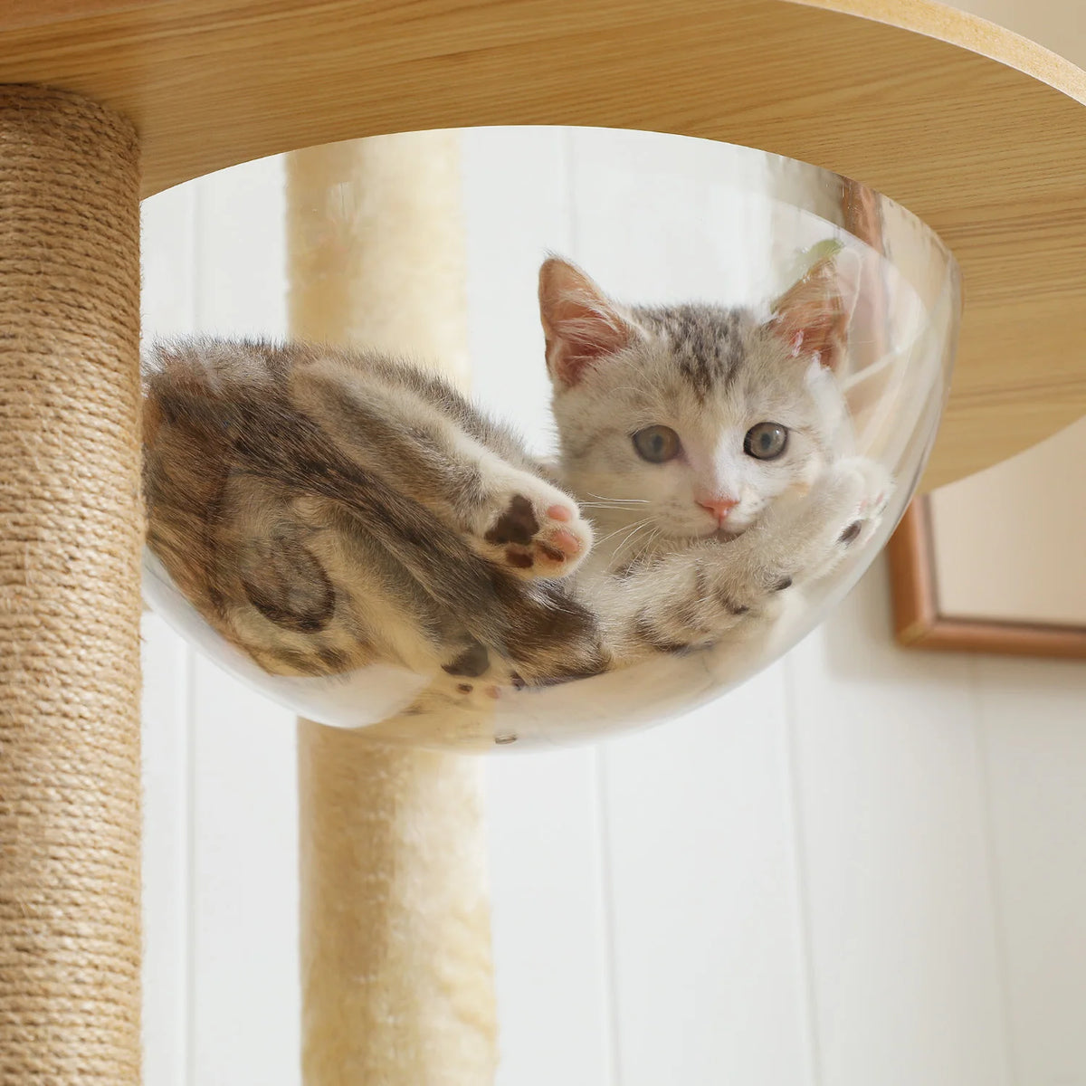 PAWZ Ro Multi Level Cat Tree Indoor Tower