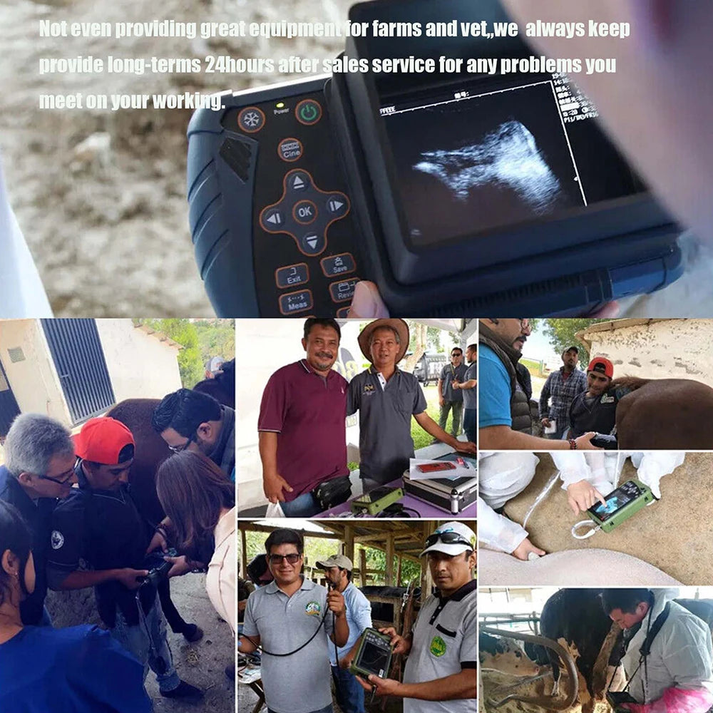 DAWEI Portable Veterinary Ultrasound Scanner 3.5MHz Probe