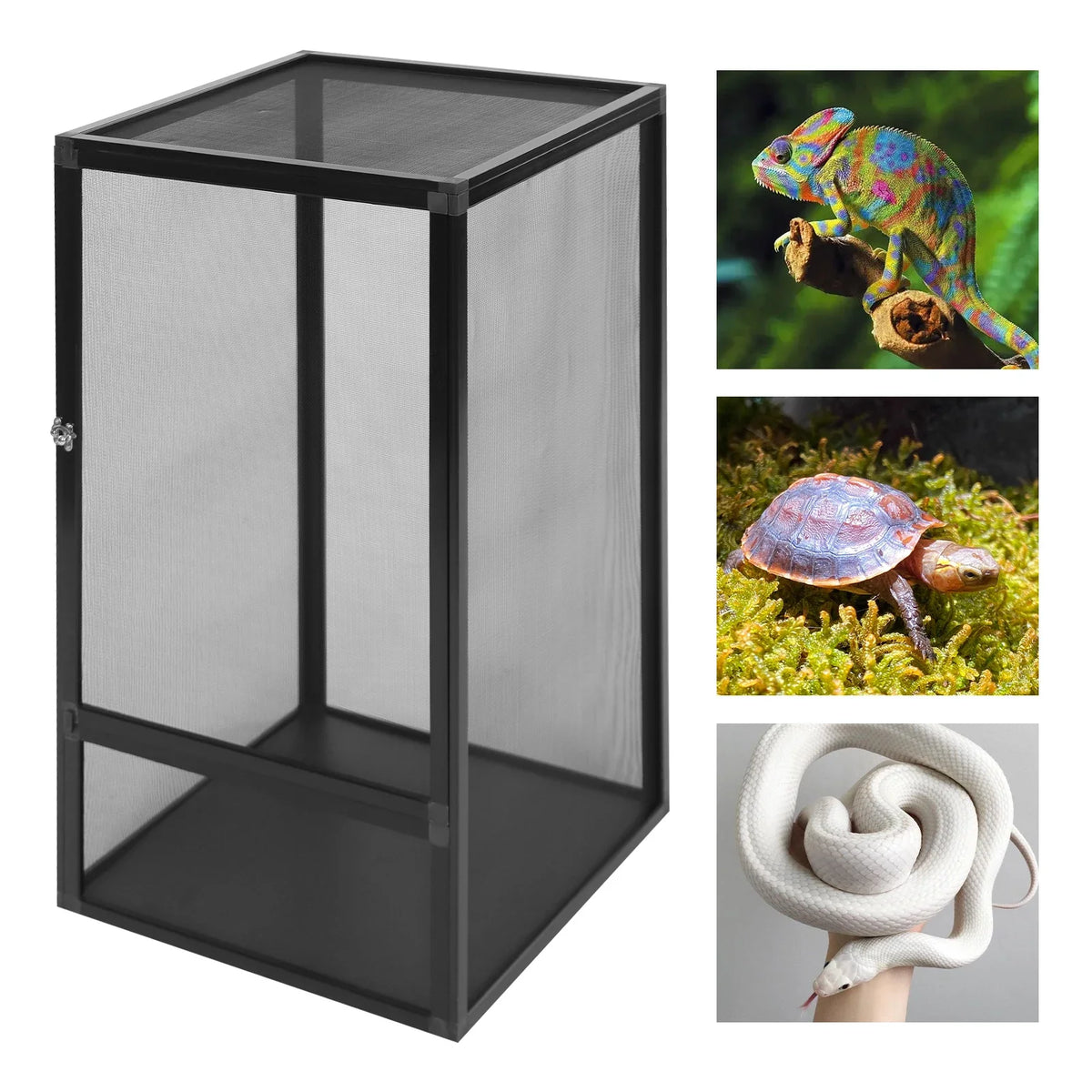 Micro Habitat Terrarium Feeding Net Box Aluminum Alloy