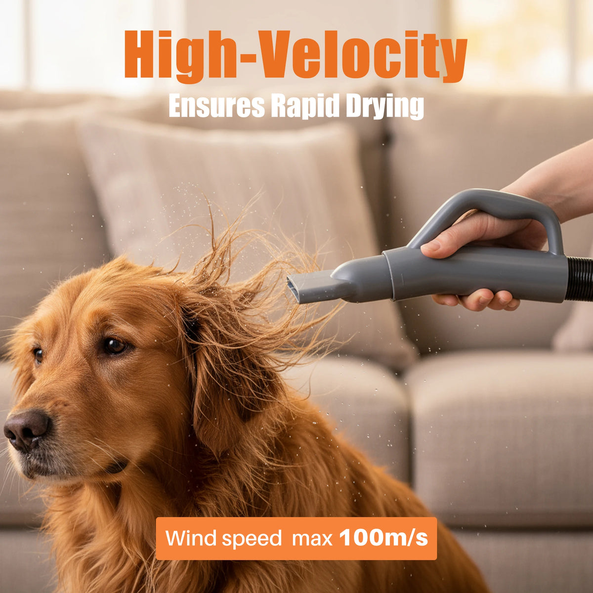 JHK Pet Grooming Vacuum And Blow Dryer Kit