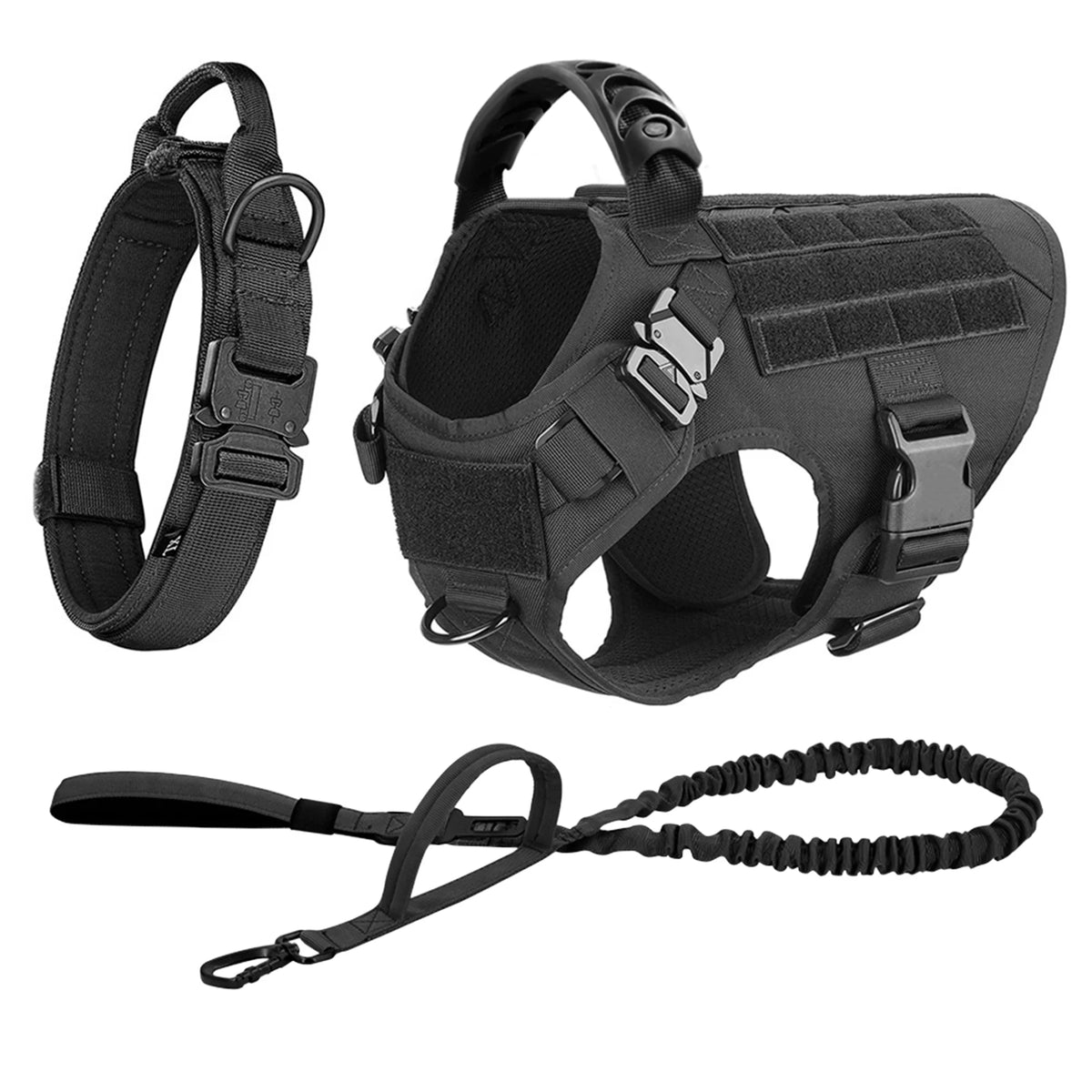 Nylon Dog Harness And Leash Set For Dogs