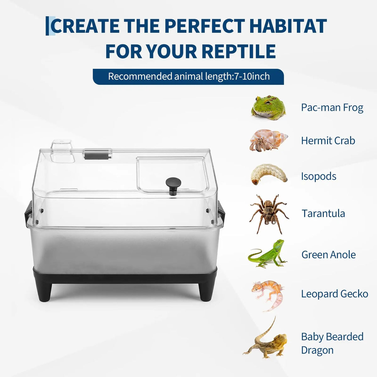 HiMISS Small Reptile Terrarium Kit With Lid And Acrylic Tank
