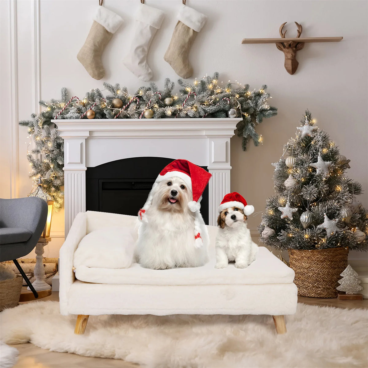 BINGOPAW Elevated Pet Bed With Cozy Pad