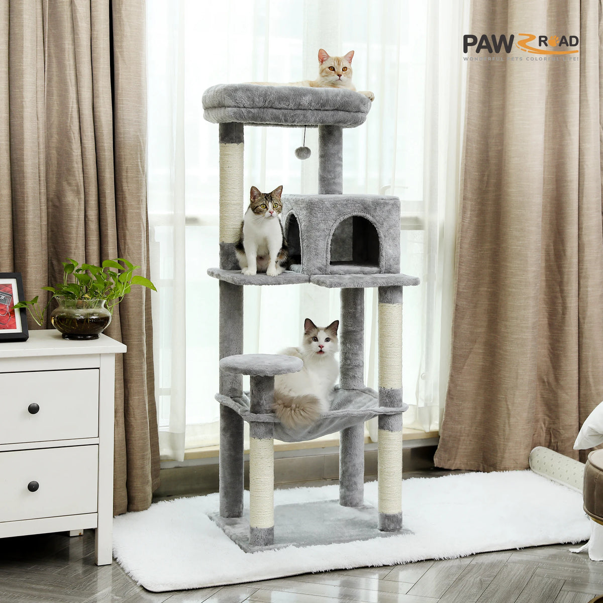 PAWZ Road Indoor Five Level Cat Tree for Large Cats