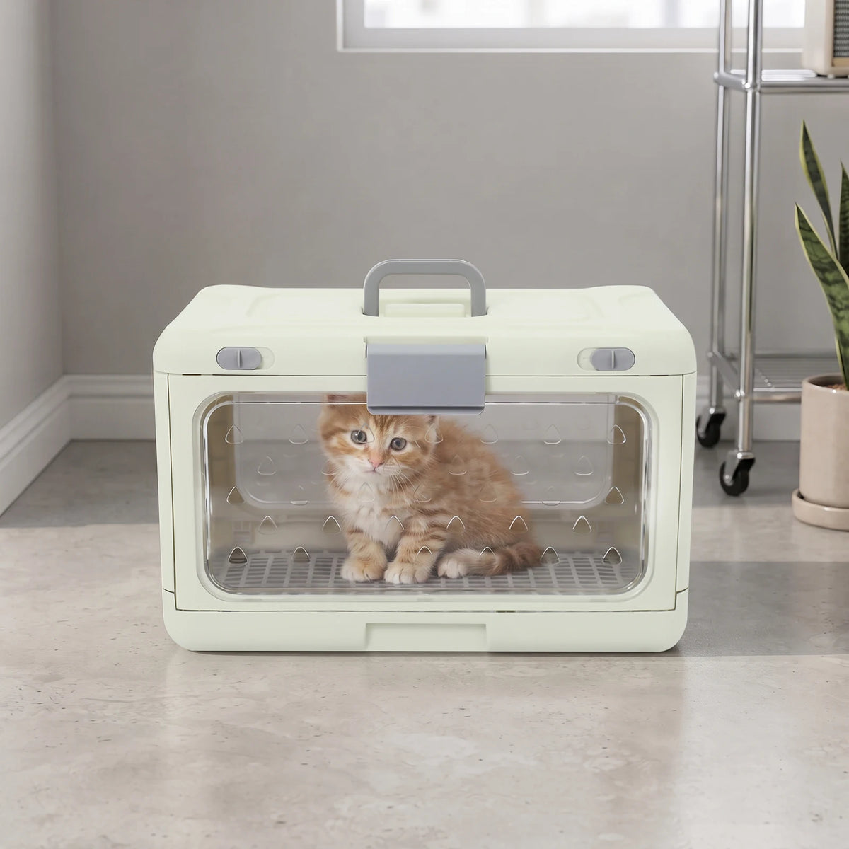 Foldable Hard Shell Pet Carrier for Cats and Small Dogs