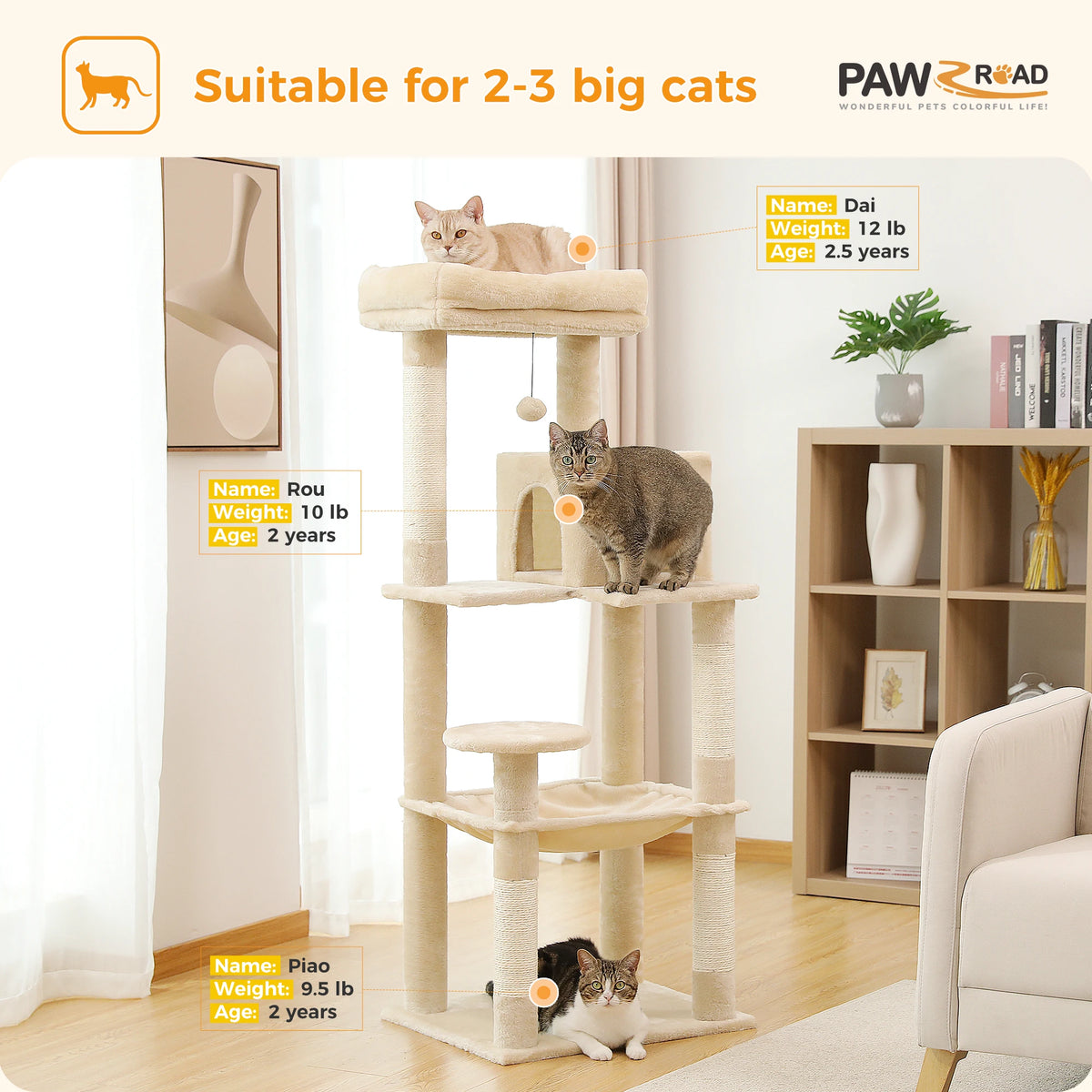 PAWZ Road Indoor Five Level Cat Tree for Large Cats