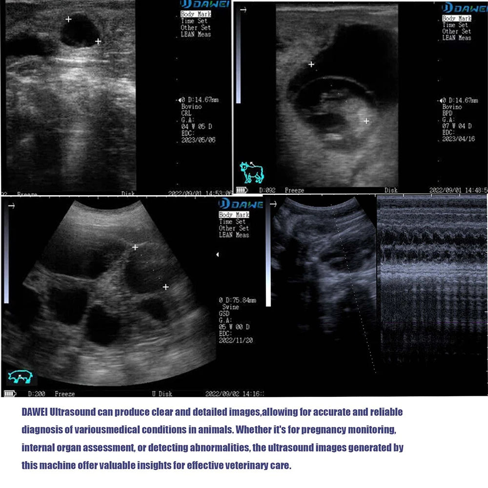 DAWEI Portable Veterinary Ultrasound Scanner for Farm Animals