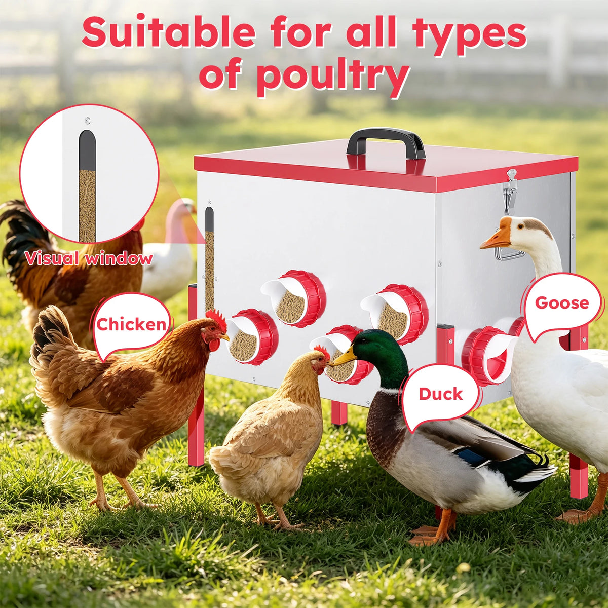 Automatic Metal Poultry Feeder With Adjustable Stand