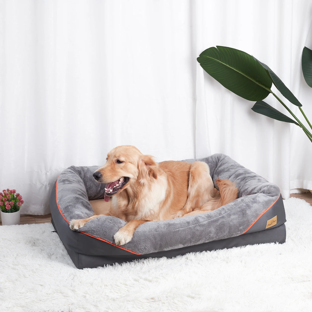 BINGOPAW Waterproof Dog Bed With Removable Washable Cover