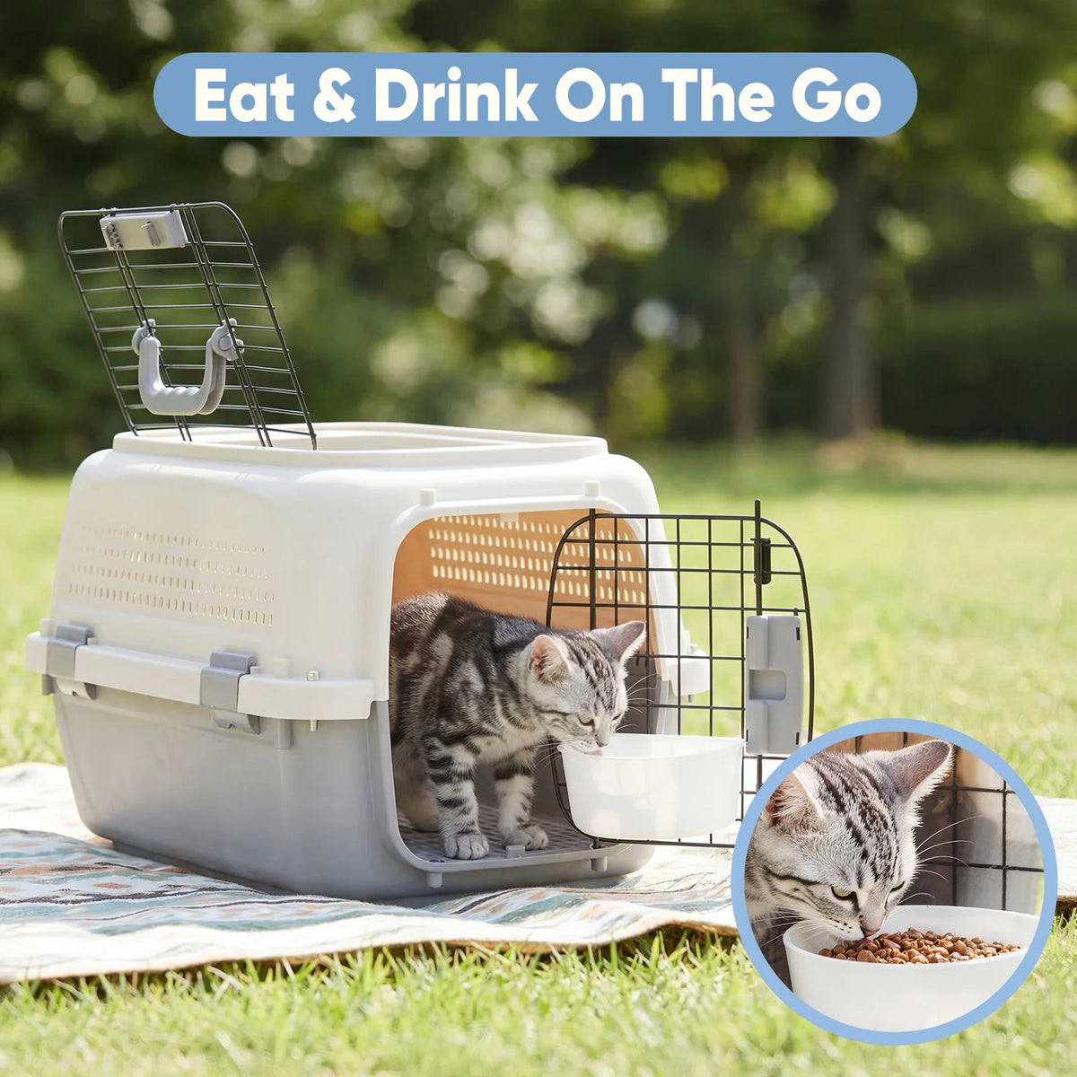 JHK Pet Carrier for Small Dogs and Cats with Latches