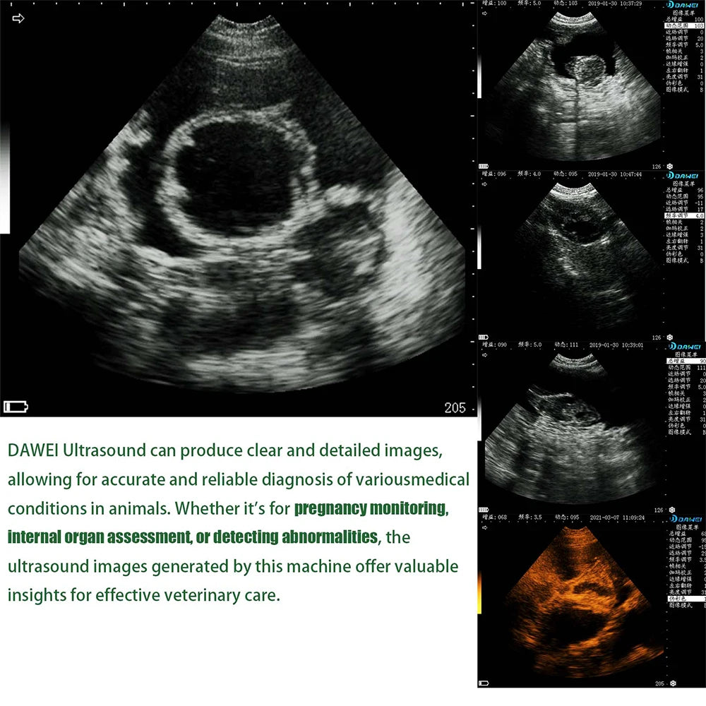 DAWEI Portable Veterinary Ultrasound Scanner 3.5MHz Probe