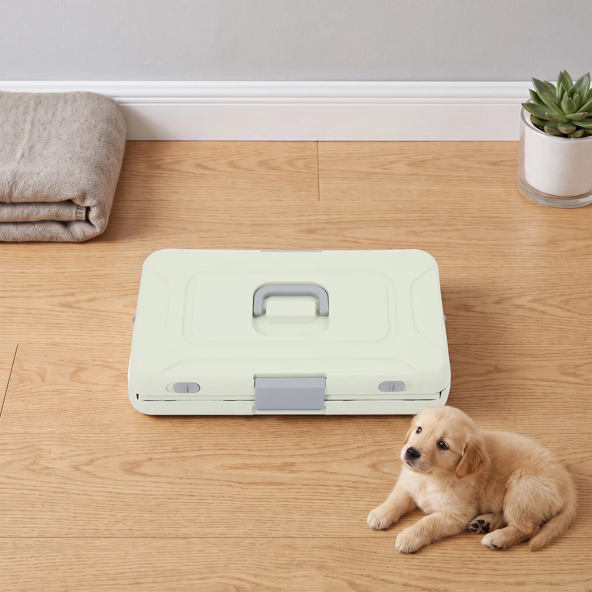 Foldable Hard Shell Pet Carrier for Cats and Small Dogs